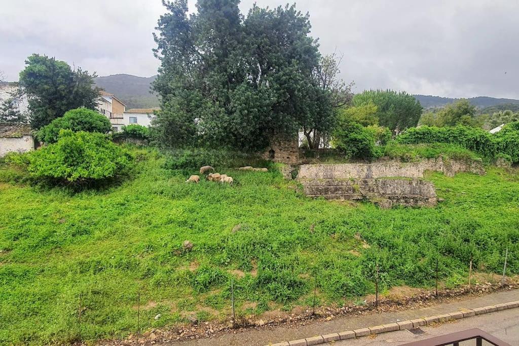 La Terracita Del Bosque Daire Dış mekan fotoğraf